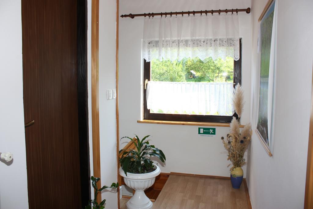 Apartment Jelena Selište Drežničko Chambre photo