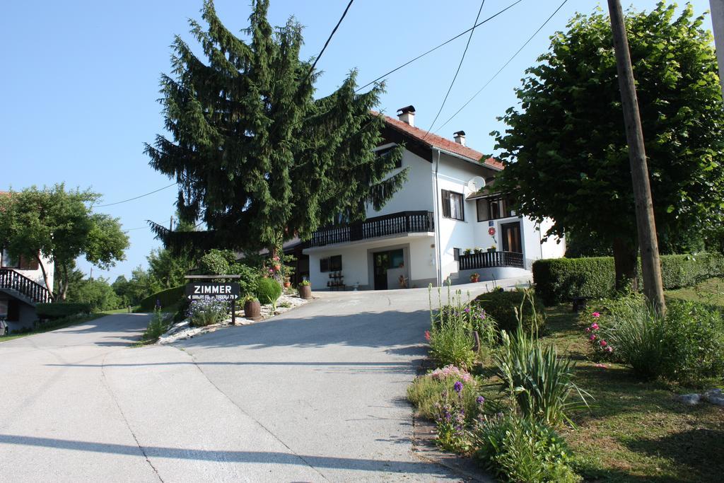 Apartment Jelena Selište Drežničko Chambre photo